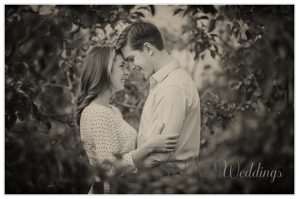 Sweet Berry Farm Engagement Session0008