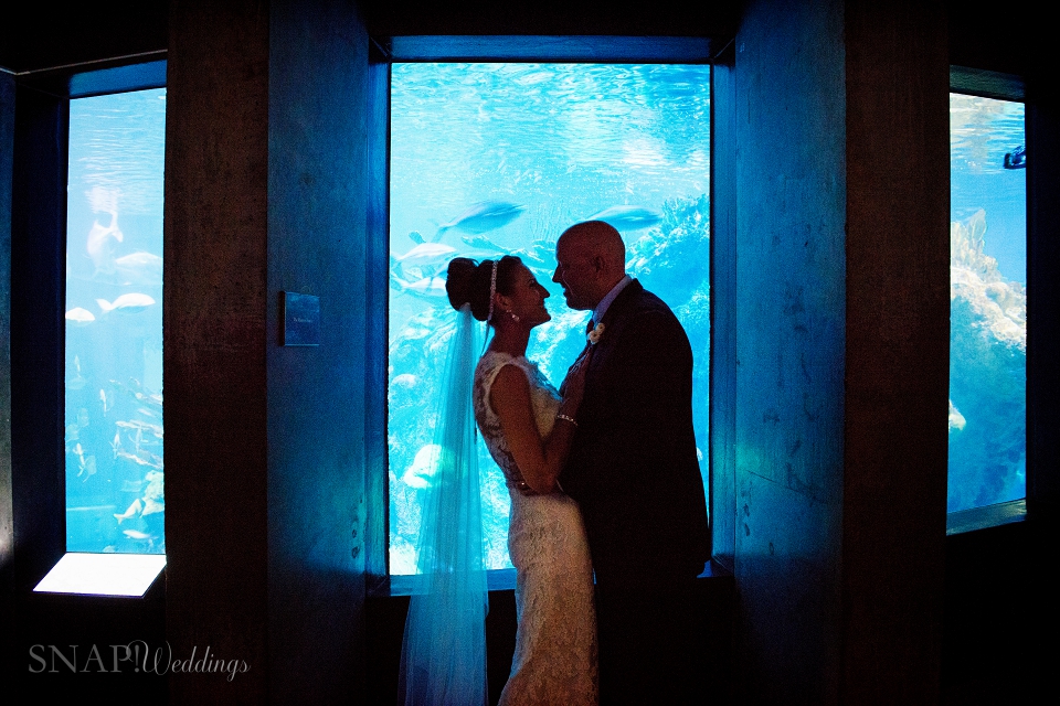 Boston Aquarium Wedding0019