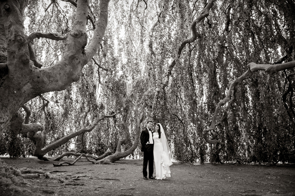 Bride and Groom under a tree canopy at The Elms Mansion